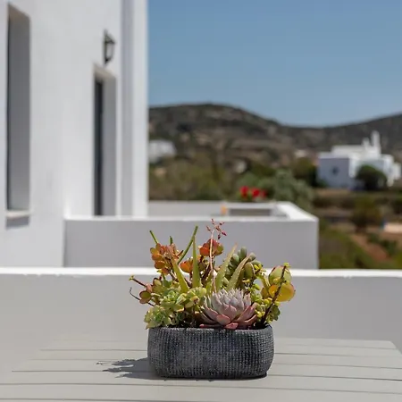 호텔 Chrysonisos With Sunset & Seaviews Near